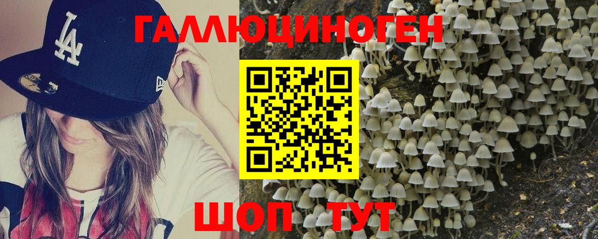 Галлюциногенные грибы Psilocybine cubensis  дарнет шоп  Вход с VPN  Зеленокумск  Псилоцибиновые грибы Magic Shrooms 