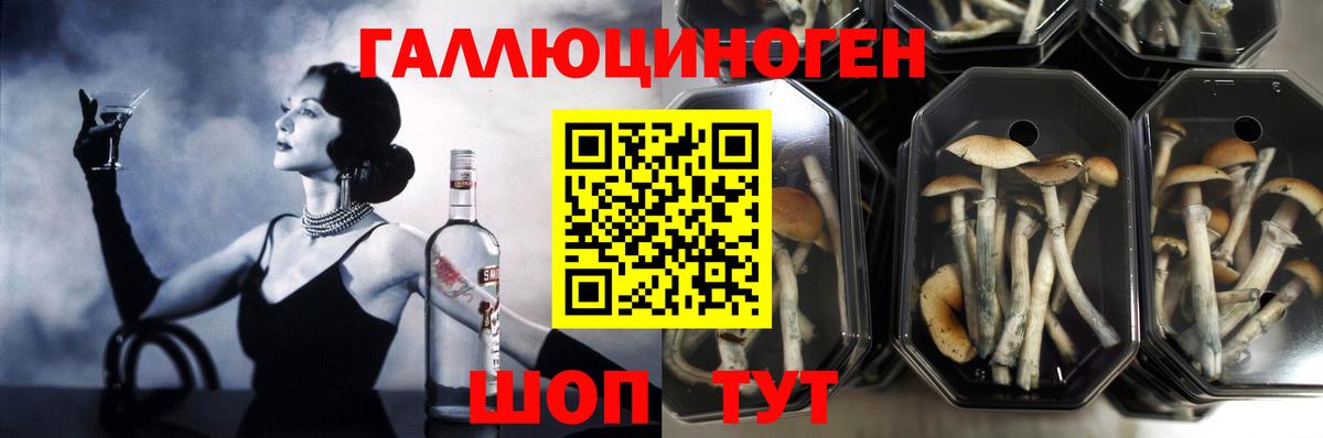 Псилоцибиновые грибы мицелий Зеленокумск